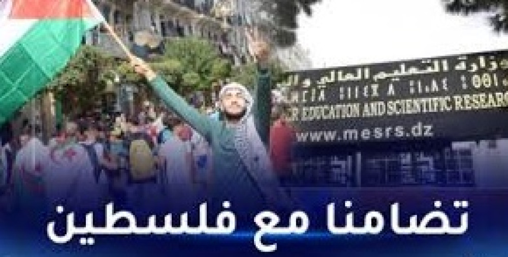 تعليق النشاطات